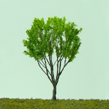 model trees